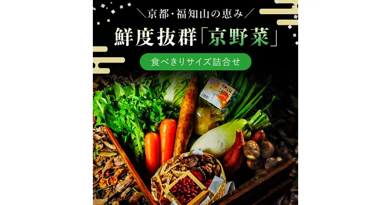 【ふるさと納税】 鮮度抜群「京野菜」　食べきりサイズ詰合せ ふるさと納税 京野菜 野菜 京都府 福知山市 FCCM002