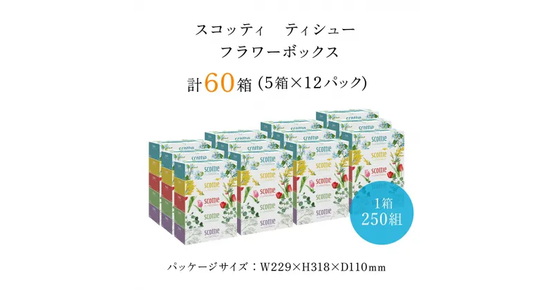 【ふるさと納税】【ボックスティッシュ】スコッティティシューフラワーボックス250組60箱(1ケース5箱×12パック) 箱ティッシュ ティッシュ ティシュー ボックス 日本製紙クレシア ティッシュペーパー 日用品 日用雑貨 消耗品 生活必需品 まとめ買い FCAS004