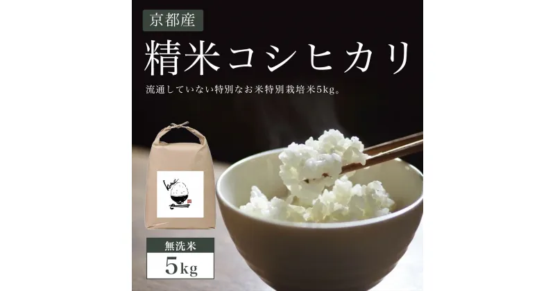 【ふるさと納税】 【無洗米】5kg 京都産 精米 コシヒカリ 流通していない 特別なお米 特別栽培米 5kg ふるさと納税 特別栽培米 無洗米 コシヒカリ 米 精米 5kg 京都府 福知山市 FCBW005