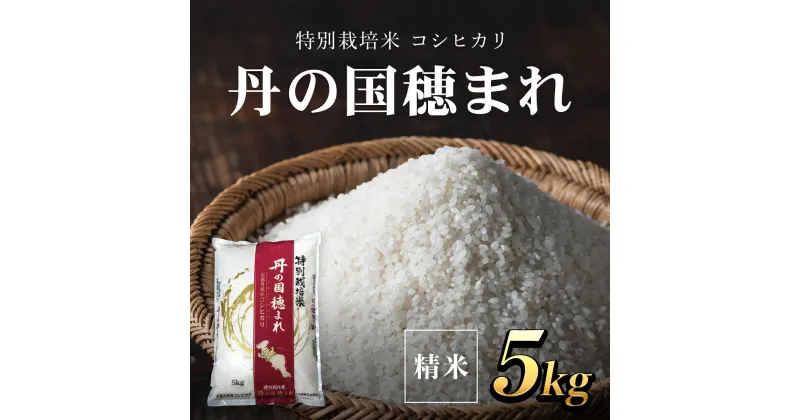 【ふるさと納税】 特別栽培米　コシヒカリ　丹の国穂まれ　精米5kg ふるさと納税 特別栽培米 コシヒカリ 米 精米 減農薬 有機肥料 京都府 福知山市 FCCR005