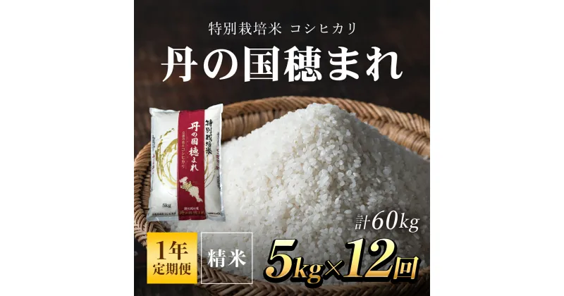 【ふるさと納税】 【1年定期便】特別栽培米 コシヒカリ 丹の国穂まれ 精米5kg×12回(60kg) ふるさと納税 特別栽培米 コシヒカリ 米 精米 減農薬 有機肥料 京都府 福知山市 FCCR002