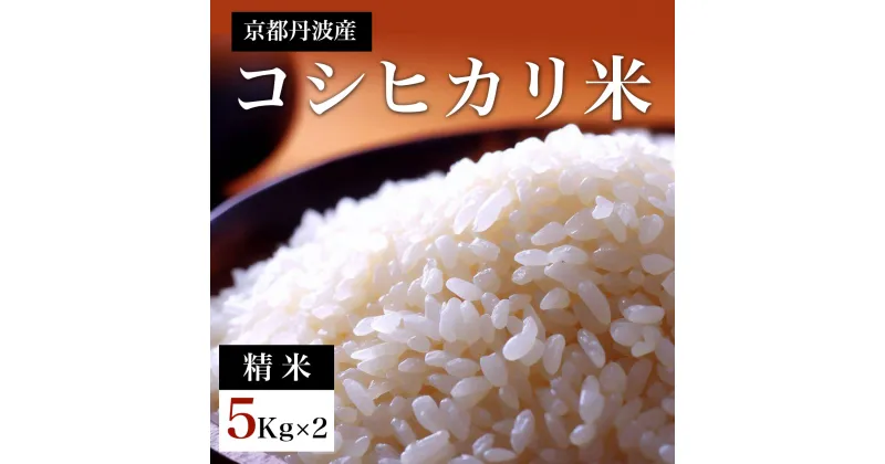 【ふるさと納税】【令和6年産】 京都丹波産　コシヒカリ米（精米）5kg×2 ふるさと納税 米 精米 コシヒカリ 特別栽培米 京都府 福知山市 FCDF002