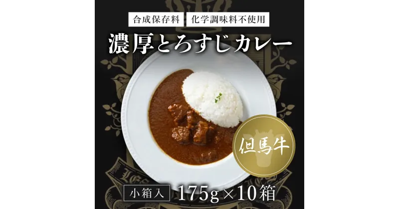 【ふるさと納税】 無添加【但馬牛濃厚とろすじカレー】(小箱入り175g×10箱)ふるさと納税 但馬牛 カレー 濃厚 とろすじ 無添加 飛燕 レ・ジロンデル 京都府 福知山市 FCDA003