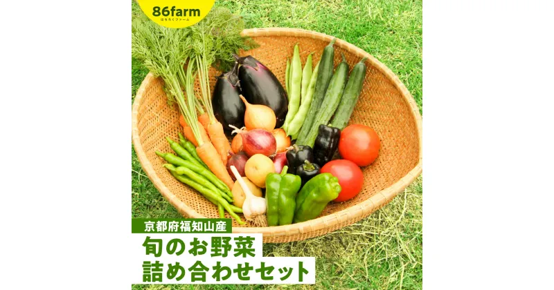 【ふるさと納税】 京都府福知山産　旬のお野菜詰め合わせセット ふるさと納税 旬の野菜 詰め合わせ セット 栽培期間中農薬 肥料不使用 京都府 福知山市 FCAM001