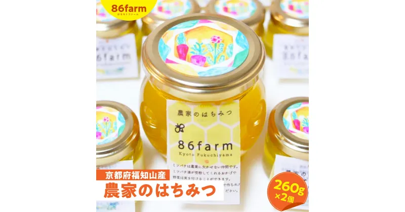 【ふるさと納税】 京都府福知山産　農家のはちみつ（260g×2） ふるさと納税 はちみつ 養蜂 ミツバチ 農薬不使用 京都府 福知山市 FCAM007