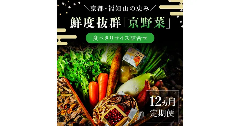 【ふるさと納税】 【12ヵ月定期便】鮮度抜群「京野菜」　食べきりサイズ詰合せ ふるさと納税 京野菜 野菜 新鮮 食べきり 詰合せ 定期便 12か月 京都府 福知山市 FCCM017