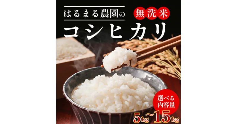 【ふるさと納税】【令和6年産新米】【選べる内容量 5kg・10kg・15kg】 京都丹波福知山産 はるまる農園のコシヒカリ 無洗米 ふるさと納税 精米 無洗米 米 こめ ご飯 ごはん 白米 コシヒカリ こしひかり 特別栽培米