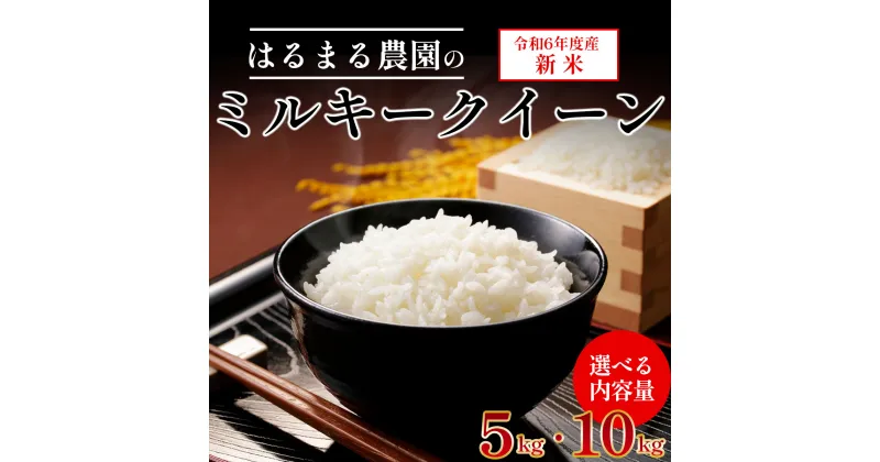 【ふるさと納税】【令和6年産新米】京都丹波福知山産 はるまる農園のミルキークイーン 【選べる内容量 5kg・10kg】ふるさと納税 精米 米 こめ ご飯 ごはん 白米 ミルキークイーン 京都府 福知山市