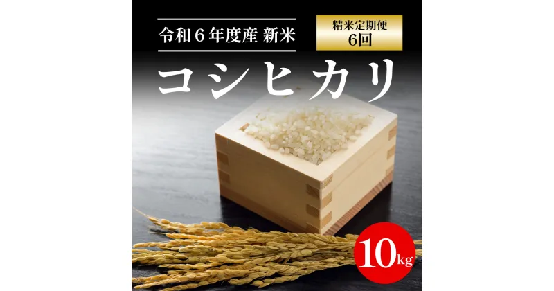 【ふるさと納税】 【令和6年産新米】定期便6回 京都丹波福知山産 10kg コシヒカリ精米 ／ ふるさと納税 精米 米 こめ ご飯 ごはん 白米 コシヒカリ こしひかり 特別栽培米 京都府 福知山市 FCCN016