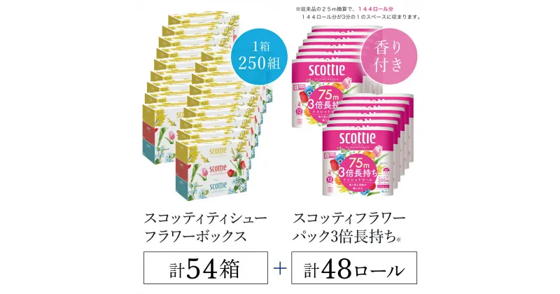 【ふるさと納税】【ボックスティッシュ54箱＋トイレットロール48ロール セット】スコッティティシューフラワーボックス250組54箱(1ケース3箱×18パック) と スコッティフラワーパック3倍長持ち4ロール（ダブル）×12パック セット/ ティッシュ トイレットペーパー FCAS026