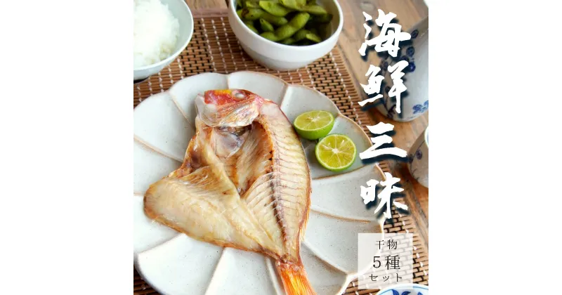 【ふるさと納税】 海鮮三昧 干物 5種 詰め合わせ セット 【送料無料】 海鮮 海産物 海の幸 魚 干物 盛り合わせ セット 色々 たくさん 冷凍 お取り寄せ グルメ 日本海 旬 魚 魚介 加工品 アジ イワシ ニギス アジ一夜干 連子鯛