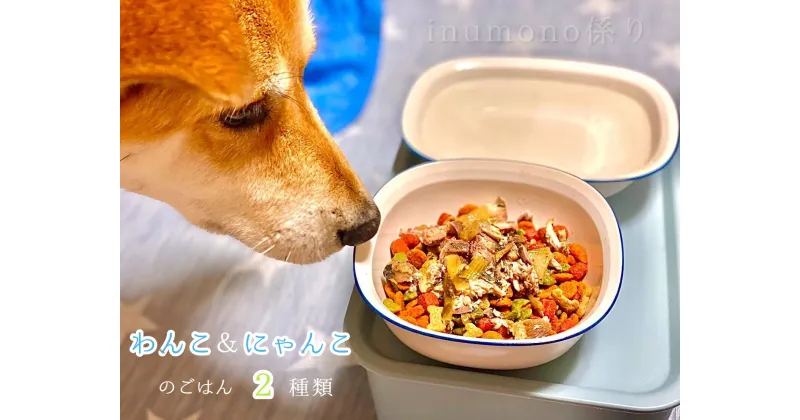 【ふるさと納税】 自然食材 ペットフード 2種類 4袋 安心安全 犬猫用 パウチ レトルト ペット用品 ワンコとニャンコのご飯 【送料無料】 犬 猫 ドッグフード キャットフード