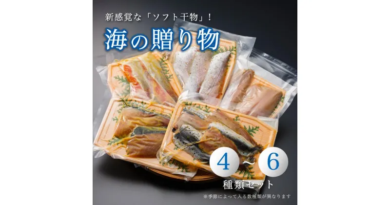 【ふるさと納税】 海の贈り物 干物 盛り合わせ 4〜6種類 セット 【送料無料】 ソフト干物 新感覚 季節の干物 旬 魚 干物 海鮮 魚介類 鯖 鯛 ホタテ サーモン 京都 舞鶴市