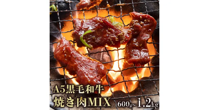 【ふるさと納税】 A5 黒毛和牛 焼肉MIX 600g / 1.2kg 150g小分けパック 冷凍 自家製 旨辛 味付け肉 揉み込み 焼き肉用 BBQ ミックス肉 牛肉 モモ カルビ ロース 熨斗 ギフト 御歳暮 お歳暮 お中元 お中元 プレゼント 贈答 お祝い ABCフーズ