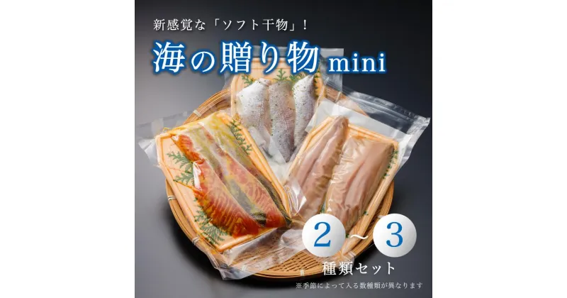 【ふるさと納税】 海の贈り物 mini 干物 2〜3種類 お試し 盛り合わせ セット 【送料無料】 ソフト干物 新感覚 季節の干物 旬 魚 干物 海鮮 魚介類 鯖 鯛 ホタテ サーモン 京都 舞鶴市