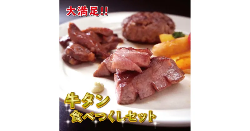 【ふるさと納税】 牛タン食べつくしセット 【送料無料】 大好評 クラファンで目標達成率2316％ 贈答 熨斗 お取り寄せ グルメ 洋食 肉料理 牛肉 国産 冷凍 お祝い ご馳走 牛タン セット ステーキ 焼き肉 ハンバーグ 色々 食べ比べ 肉 ABCフーズ