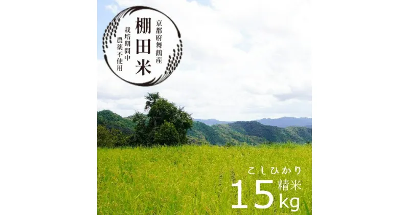 【ふるさと納税】 【 新米】 棚田米 15kg コシヒカリ 栽培期間中農薬不使用 令和6年産 精米 京都産 【送料無料】 舞鶴 こしひかり 15キロ 精米 ごはん 農家直送 生産者直送