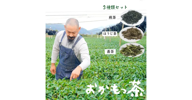 【ふるさと納税】 おかもっ茶 煎茶 ほうじ茶 番茶 3種類 セット 1.1kg 日本茶 緑茶 茶葉 【送料無料】 京都 舞鶴 お茶 舞鶴茶