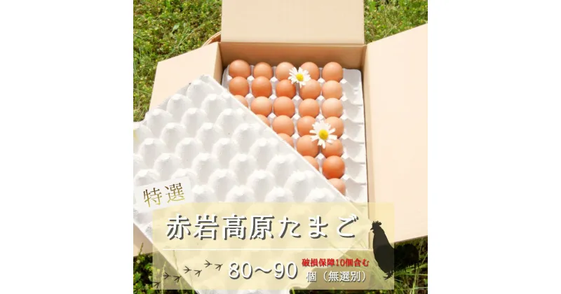 【ふるさと納税】 赤岩高原たまご 80〜90個入（特選/無選別M〜L） 4.8kg以上 卵 大人数用 【送料無料】