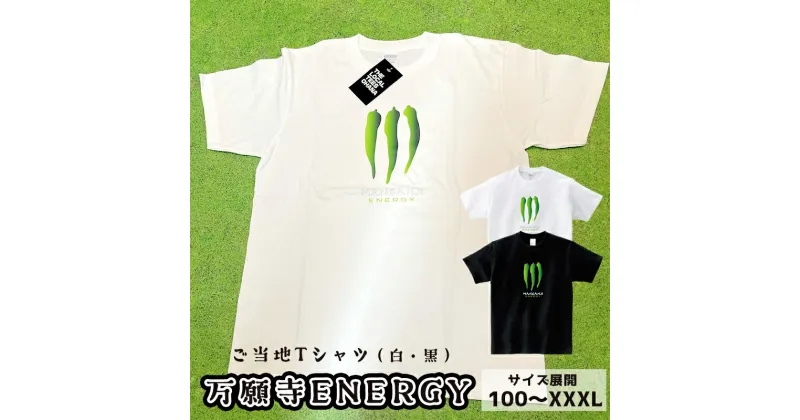 【ふるさと納税】 万願寺ENERGY Tシャツ オリジナルステッカー入り 舞鶴 万願寺 tシャツ メンズ レディース キッズ 半袖 Printstar プリントスター 5.6オンス ヘビーウェイトTシャツ 【送料無料】 衣類 服 男女兼用