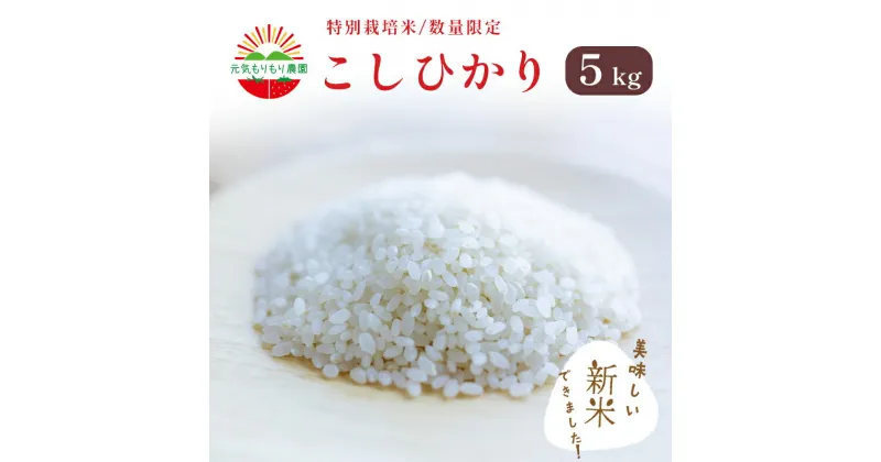 【ふるさと納税】 特別栽培米 白米 コシヒカリ 5kg 5キロ 精米 有機肥料 100% 特別 栽培米 令和 5年産 お米 おにぎり お弁当 食事 京都 舞鶴 【数量限定】