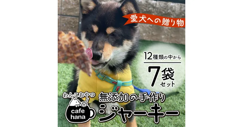 【ふるさと納税】 無添加 ペット用 手作り ジャーキー 5種 7袋 セット 詰め合わせ 愛犬 納豆 鶏ささみ 牛タン 鶏肉 鹿レバー ペットフード おやつ 餌 エサ 京都 舞鶴