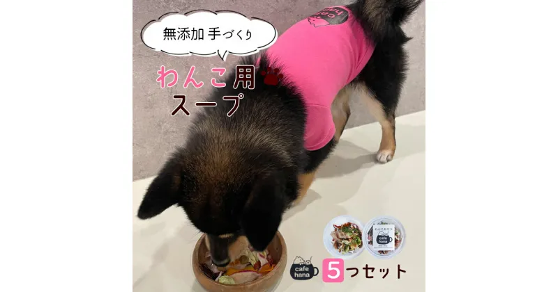 【ふるさと納税】 無添加 ペット用 手作り スープ 5袋 セット 詰め合わせ 愛犬 ご飯 ペットフード ドッグ 京都 舞鶴 エサ 餌