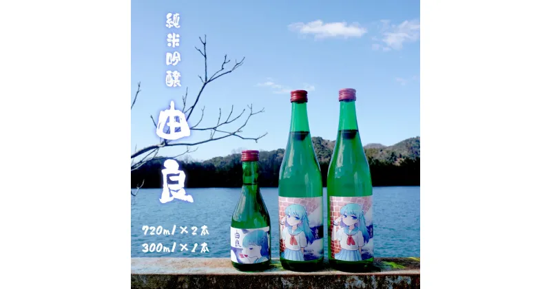 【ふるさと納税】 純米吟醸 由良 720ml×2本 300ml×1本 日本酒 3本セット 辛口 地酒 限定パッケージ 【送料無料】 贈答 熨斗