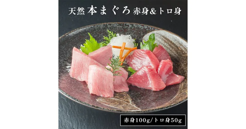 【ふるさと納税】 天然 本まぐろ 赤身＆トロ身 二種盛り 150g プロトン冷凍 解凍レシピ付 京都 舞鶴産【送料無料】