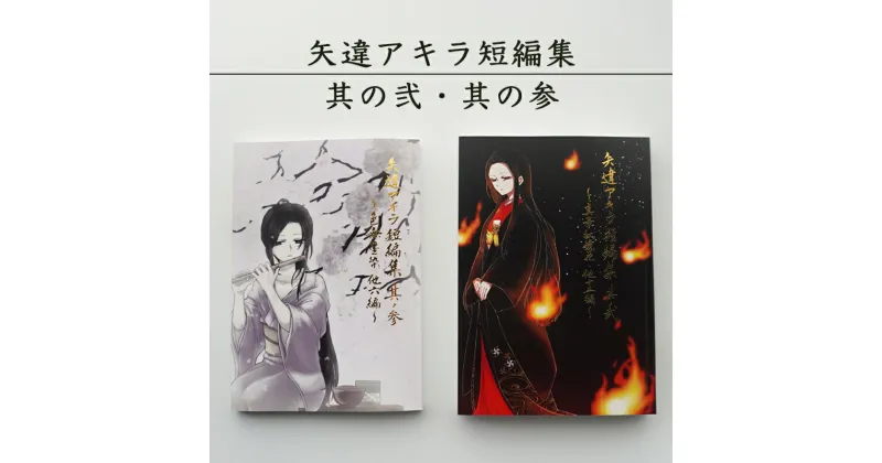 【ふるさと納税】 矢違アキラ短編集 其ノ弍と其ノ参の2冊セット 舞鶴 小説 短編小説 【送料無料】