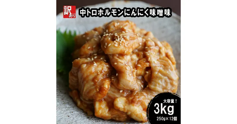 【ふるさと納税】 【 訳あり 】 中トロ ホルモン 3kg(250g×12) にんにく 味噌味 焼肉 ホルモン焼き 不揃い シマ腸 シマチョウ 小腸 おつまみ 味噌 味付 小分け 冷凍 牛 内臓 肉 幸福亭