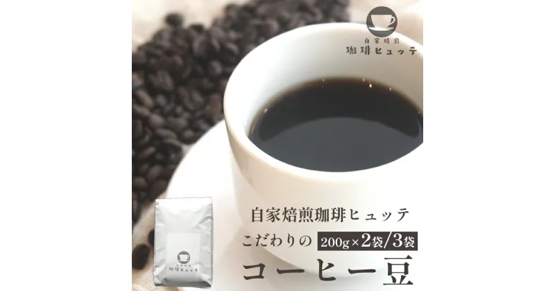 【ふるさと納税】 自家焙煎 珈琲ヒュッテ こだわり コーヒー豆 200g × 2袋/3袋 セット 【送料無料】