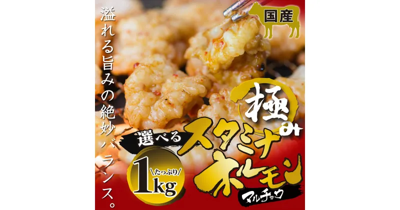 【ふるさと納税】極みの スタミナ ホルモン マルチョウ 選べる 1kg 250×4袋 小分け タレ付き 【送料無料】