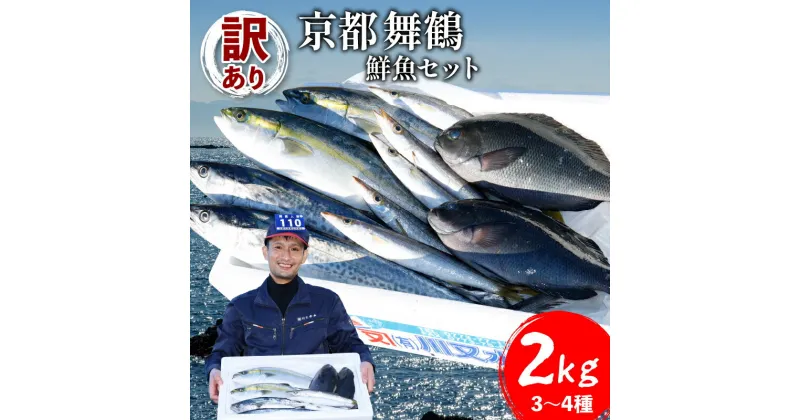 【ふるさと納税】 【訳あり】 鮮魚 詰め合わせ セット 3〜4種 約2kg 2キロ 旬 厳選 朝 獲れ 鮮度 抜群 冷蔵 あじ サバ ススキ つばす 鯵 鯖 鰯 サゴシ グレ 鯛 カマス 赤カレイ いわし レンコダイ トビウオ【送料無料】