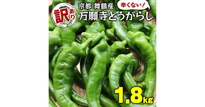 【ふるさと納税】 【5月中旬〜11月下旬発送】 【訳あり】 万願寺 とうがらし 1.8kg ( 900g × 2箱 ) 辛くない 美味しい おいしい 肉厚 甘い 旬 採れたて 箱入り 伝統野菜 バーベキュー BBQ 野菜 夏野菜 農家 産地 直送 万願寺とうがらし 唐辛子 規格外 京都 舞鶴