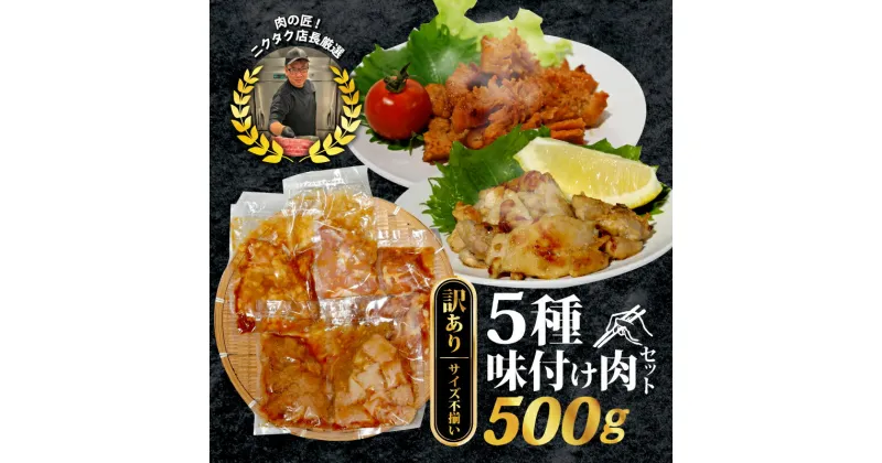 【ふるさと納税】 【訳あり】 味付け肉 5種類 セット 500g 特製つけだれ 味付け肉 漬け込み肉 お手軽焼肉 今夜の一品 焼くだけ てっちゃん みそ味 とりもも 塩だれ味 ミノ