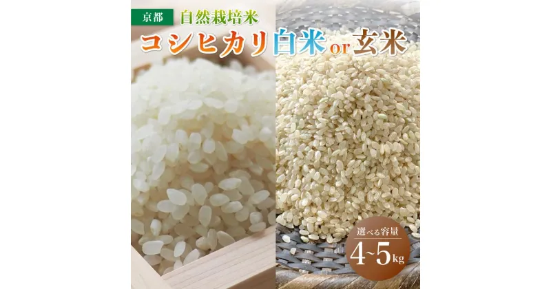 【ふるさと納税】 【 令和6年度産 新米 】 自然栽培米 こしひかり 5kg / 4kg （2kg×2） 白米 / 玄米 ： 選べる 容量 精米方法 お米 コシヒカリ 京都産 舞鶴産 自然栽培 精米 米 農家直送 コメ ご飯 健康 自然 舞鶴市ふるさと納税