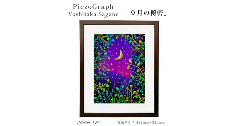 【ふるさと納税】相根良孝 ピエゾグラフ 絵画「9月の秘密」 額装サイズ412mmx526mm 額縁付き アート インテリア 現代版画 出産祝い 進学祝い 成人祝い 就職祝い 退職記念 結婚祝い 結婚記念のお祝い お誕生日 長寿のお祝い 新築祝い 開業のお祝い 綾部 京都【送料無料】