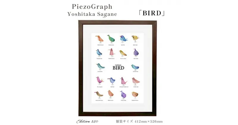 【ふるさと納税】相根良孝 ピエゾグラフ 絵画「BIRD」 額装サイズ412mmx526mm 額縁付き アート インテリア 現代版画 出産祝い 進学祝い 成人祝い 就職祝い 退職記念 結婚祝い 結婚記念のお祝い お誕生日 長寿のお祝い 新築祝い 開業のお祝い 綾部 京都【送料無料】