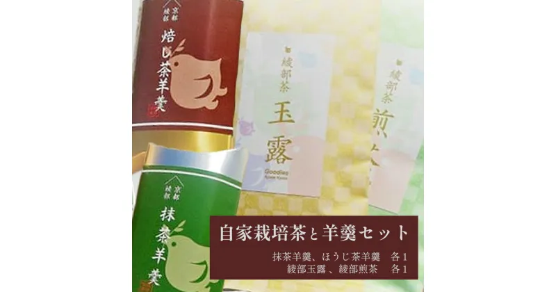 【ふるさと納税】茶園の自家栽培茶と特製綾部茶ようかんのセット（ 抹茶ようかん / ほうじ茶ようかん / 綾部玉露 / 綾部煎茶 ）【 国産 農家直送 日本茶 茶 お茶 綾部茶 ようかん 羊羹 ギフト お茶請け 贈り物 プレゼント 和菓子 セット 贈答品 お土産 スイーツ 京都 綾部 】