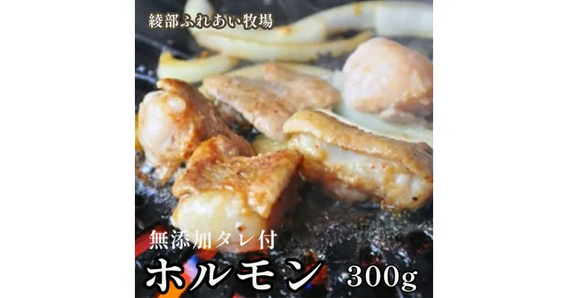 【ふるさと納税】ホルモン焼き 300g（3～4人前）京都牛と牧場の無添加たれで作るホルモン焼き 牛 牛肉 ホルモン ほるもん ホルモン焼き お土産 BBQ アウトドア パーティー 焼くだけ おすすめ 冷凍 簡単 京都 綾部【送料無料】