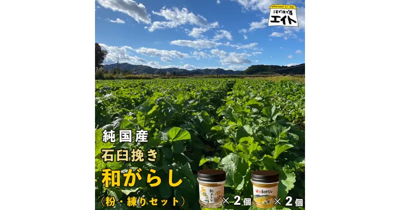 【ふるさと納税】純国産石臼挽き和がらし 4個セット（ 粉和がらし2個 / 練り和がらし2個 ）【 国産 からし 和辛子 辛子 石臼挽き セット 和がらし 詰め合わせ ギフト 農家直送 贈答 プレゼント 京都 綾部 】