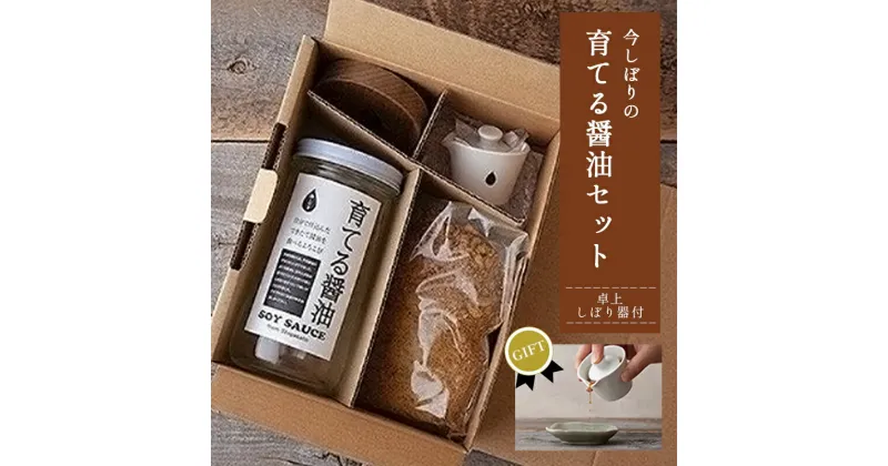 【ふるさと納税】【ギフト用】無添加 育てる醤油と卓上しぼり器セット【 国産 醤油 しょうゆ セット 手作り 醤油づくり 手作り醬油 キット 贈答 贈り物 プレゼント ギフト 無農薬 熟成 もろみ 京都 綾部 】