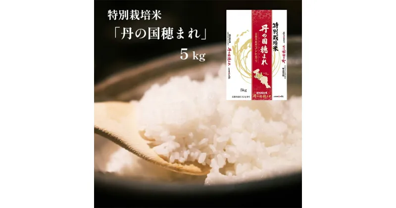 【ふるさと納税】特別栽培米コシヒカリ「丹の国穂まれ」 5kg こしひかり お米 米 JA 京都 綾部 国産【送料無料】