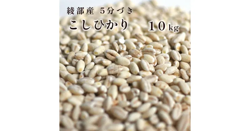 【ふるさと納税】綾部産 コシヒカリ 10kg 5分づき 精米 国産 京都府産 綾部 こしひかり 【送料無料】