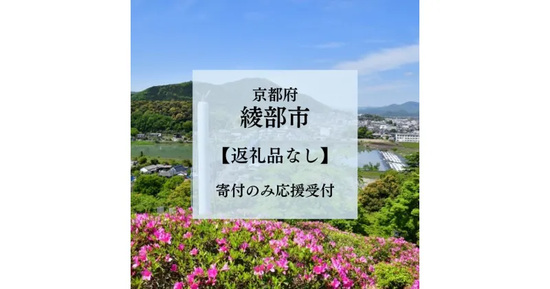 【ふるさと納税】【楽天限定】【返礼品なし】京都府綾部市への応援寄附金 寄付のみ 返礼品なし 1000円 3000円 5000円 8000円 10000円 15000円 20000円 25000円 30000円