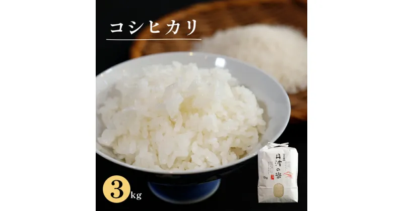 【ふるさと納税】【令和6年産】新米 減農薬コシヒカリ 精米 3kg 【 米 コシヒカリ こしひかり 3キロ 精米 白米 こめ コメ お米 おこめ 農家直送 綾部 京都 】