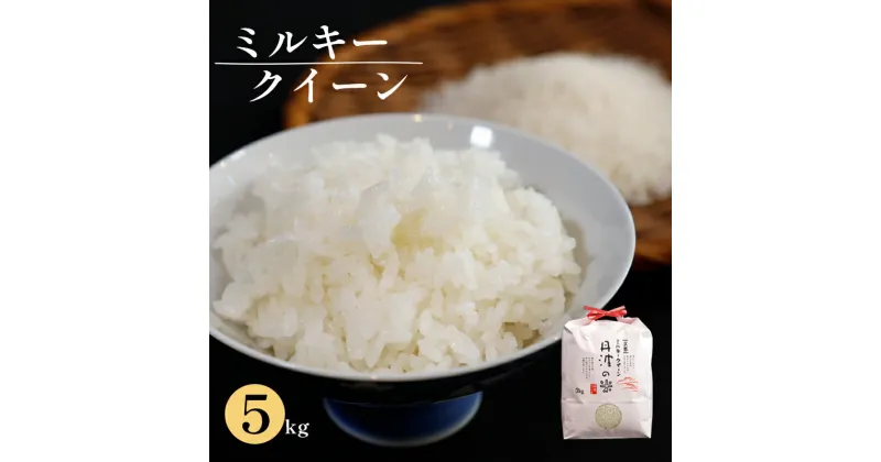 【ふるさと納税】【令和6年産】新米 減農薬ミルキークイーン 精米 5kg【 米 ミルキークイーン 5キロ 精米 白米 こめ コメ お米 おこめ 農家直送 綾部 京都 】