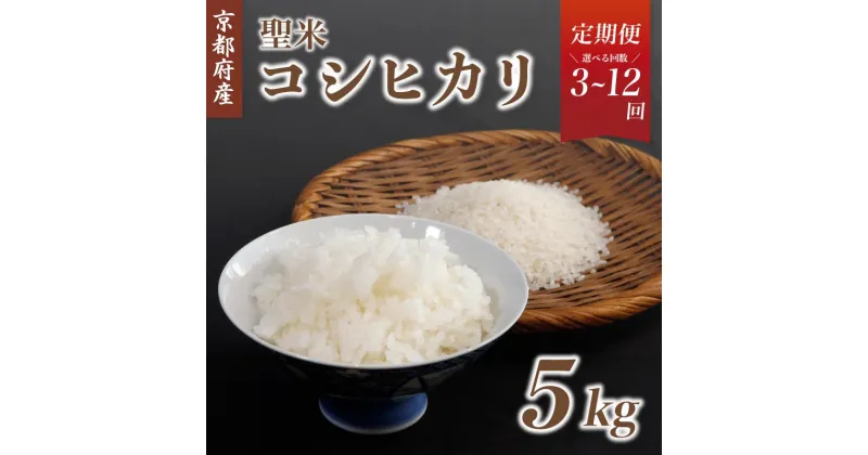 【ふるさと納税】【令和6年産 新米】《選べるお届け回数》【定期便】新米 京都府産コシヒカリ「聖米」白米5kg （ 3回 / 6回 / 12回 ）【 お米 米 白米 精米 こしひかり 国産 選べる 定期便 毎月発送 京都 綾部 】