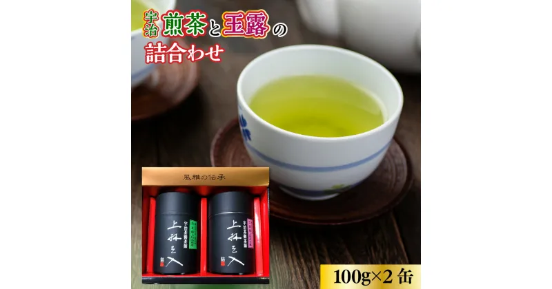 【ふるさと納税】宇治煎茶と玉露の詰合わせ 100g×2缶　銘茶 お茶 宇治茶 緑茶 玉露 煎茶　AU02